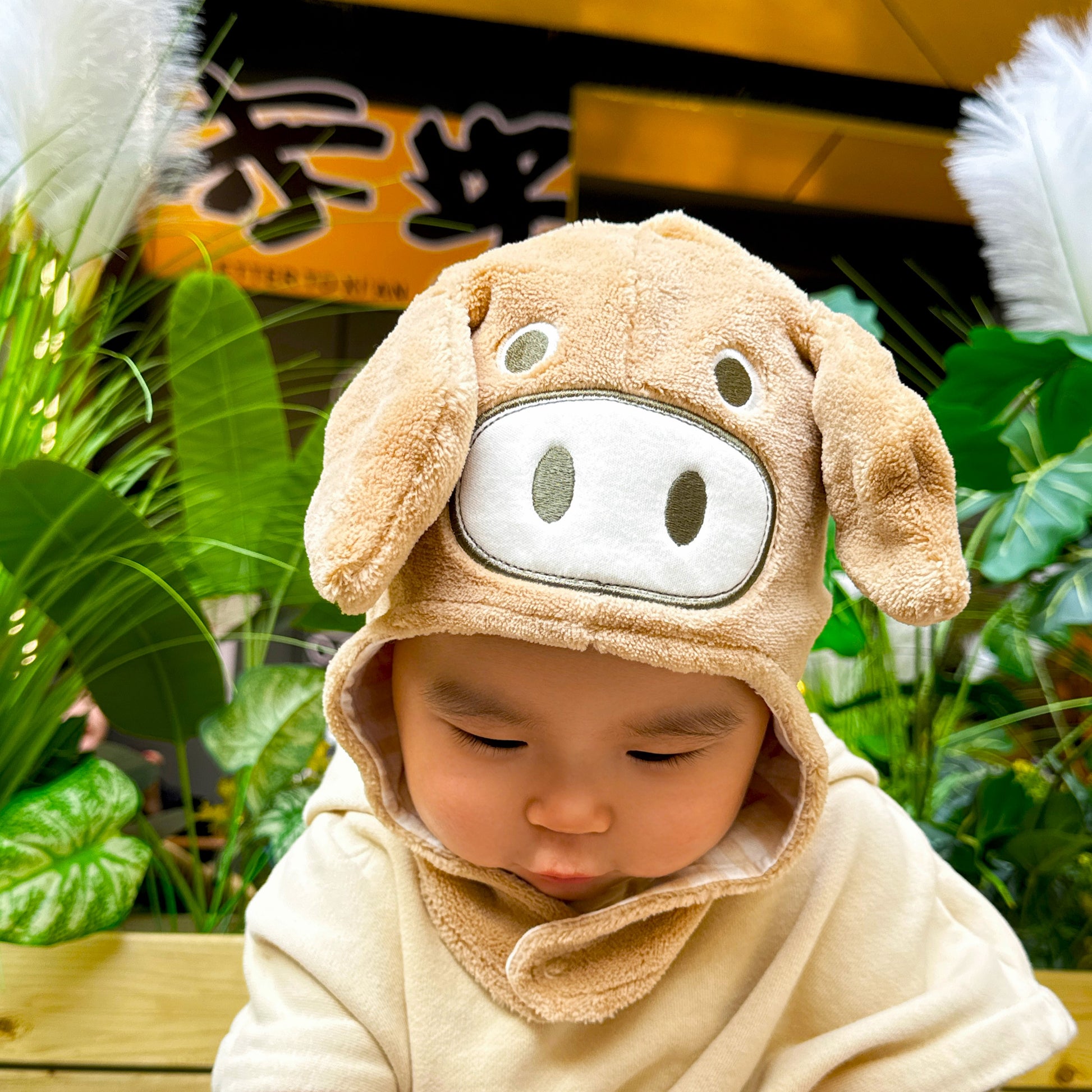 Softest Organic Cotton Newborn Hat - Cute Piggy