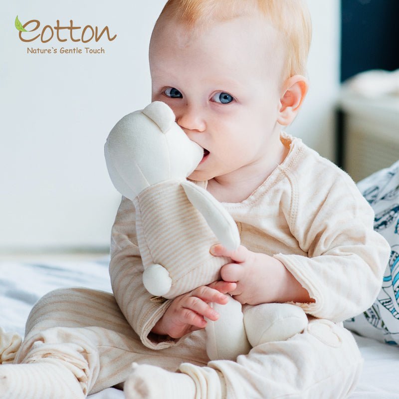 Best Infant Toys | Organic Stuffed Animal Toy Little Bear Bro | Eotton Canada