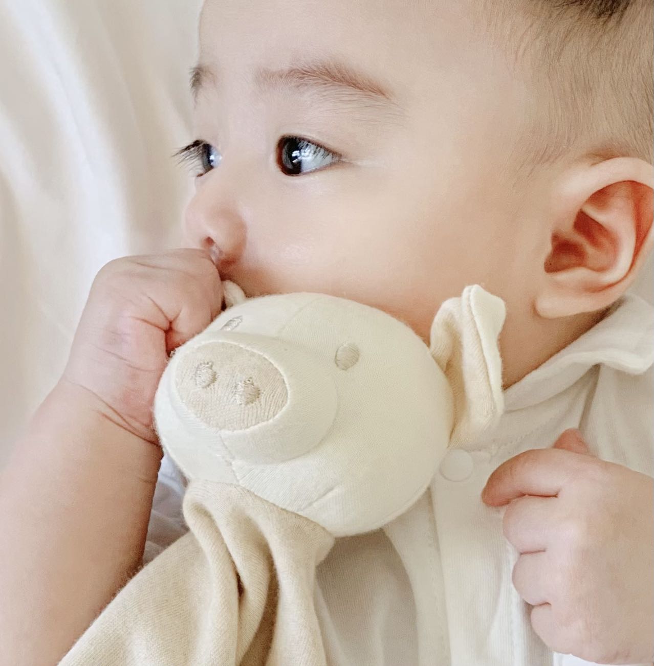 Organic Cotton Baby Security Blanket - Newborn Comforter