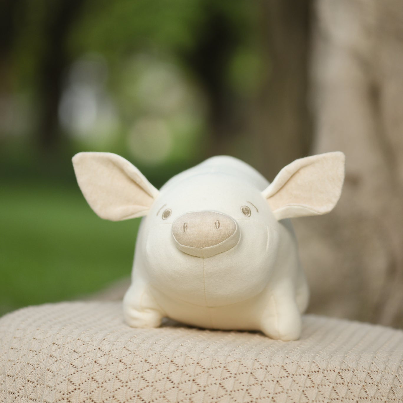 Organic Stuffed Animal Toy Piggy | Newborn Soft Toy | Eotton Canada