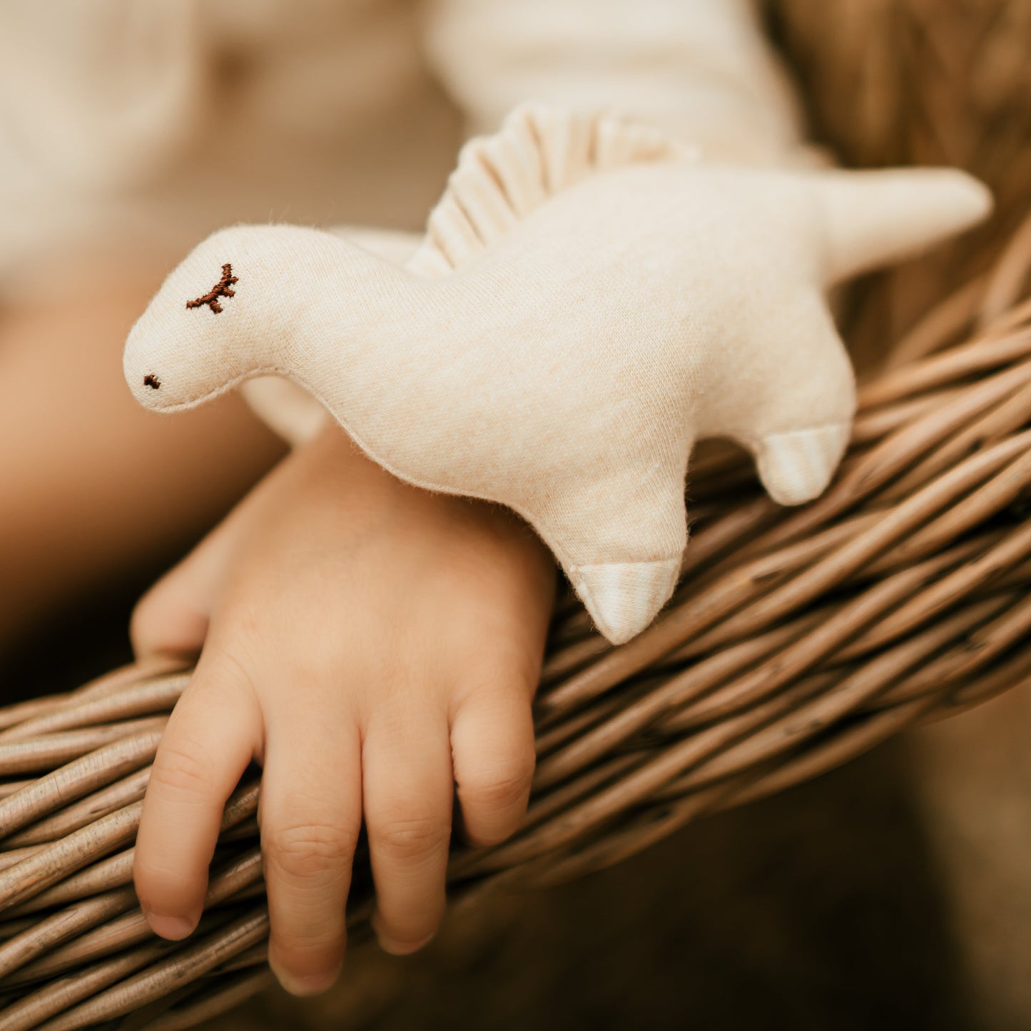 Dinosaur Rattle | Infant Foot Rattle & Newborn Toy | Eotton Canada