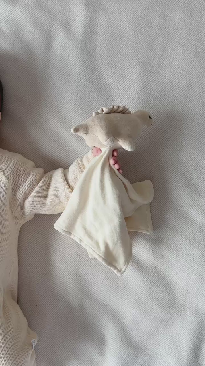 Organic Lovey Blanket: Dinosaur Newborn Comforter | Eotton Canada