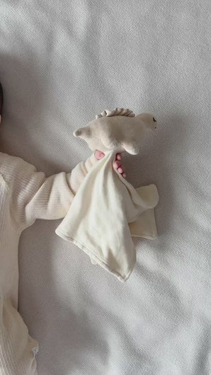 Organic Cotton Lovey Blanket - Dinosaur Newborn Comforter | Eotton Canada