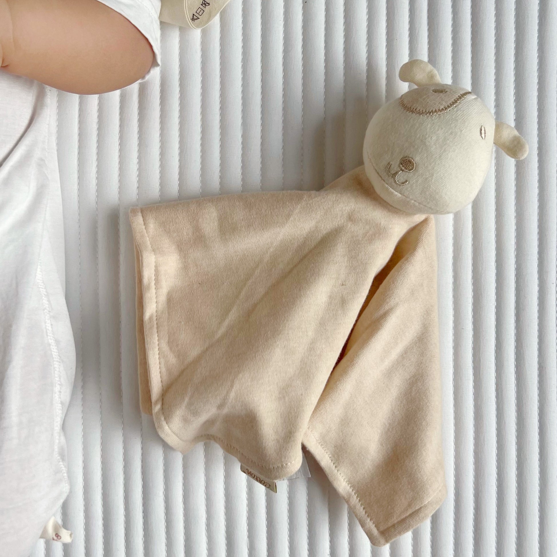 Puppy Lovey: Organic Newborn Security Blanket | Eotton