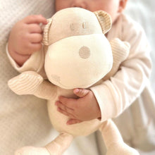 Load image into Gallery viewer, Organic Stuffed Animals Toy Monkey | Best Soft Toys For Newborn - EottonCanada
