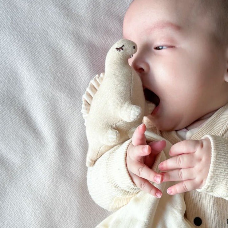 Dinosaur Organic Baby Lovey | Eotton Canada 