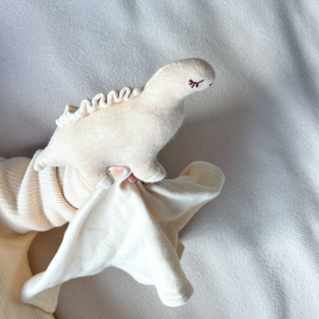 Organic Dinosaur Baby Comforter | Toddler Snuggle Toy | Eotton Canada