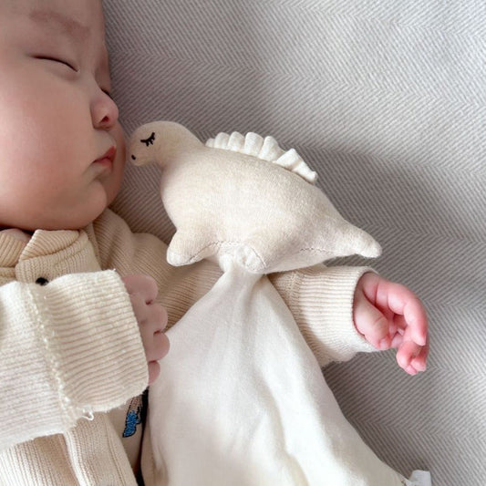 organic cotton dinosaur baby comforter toddler snuggle toy for newborns | Eotton Canada