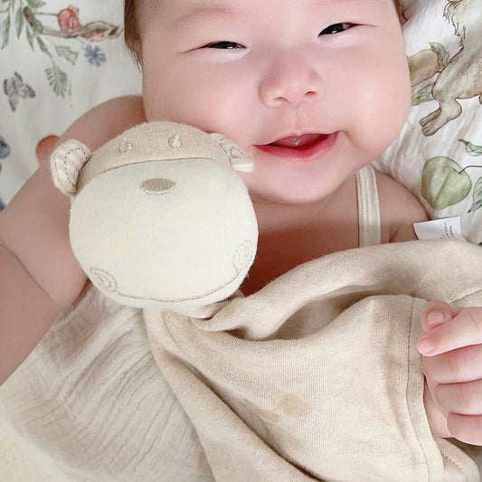 Newborn Soothing Toy | Organic Monkey Lovey | Eotton Canada